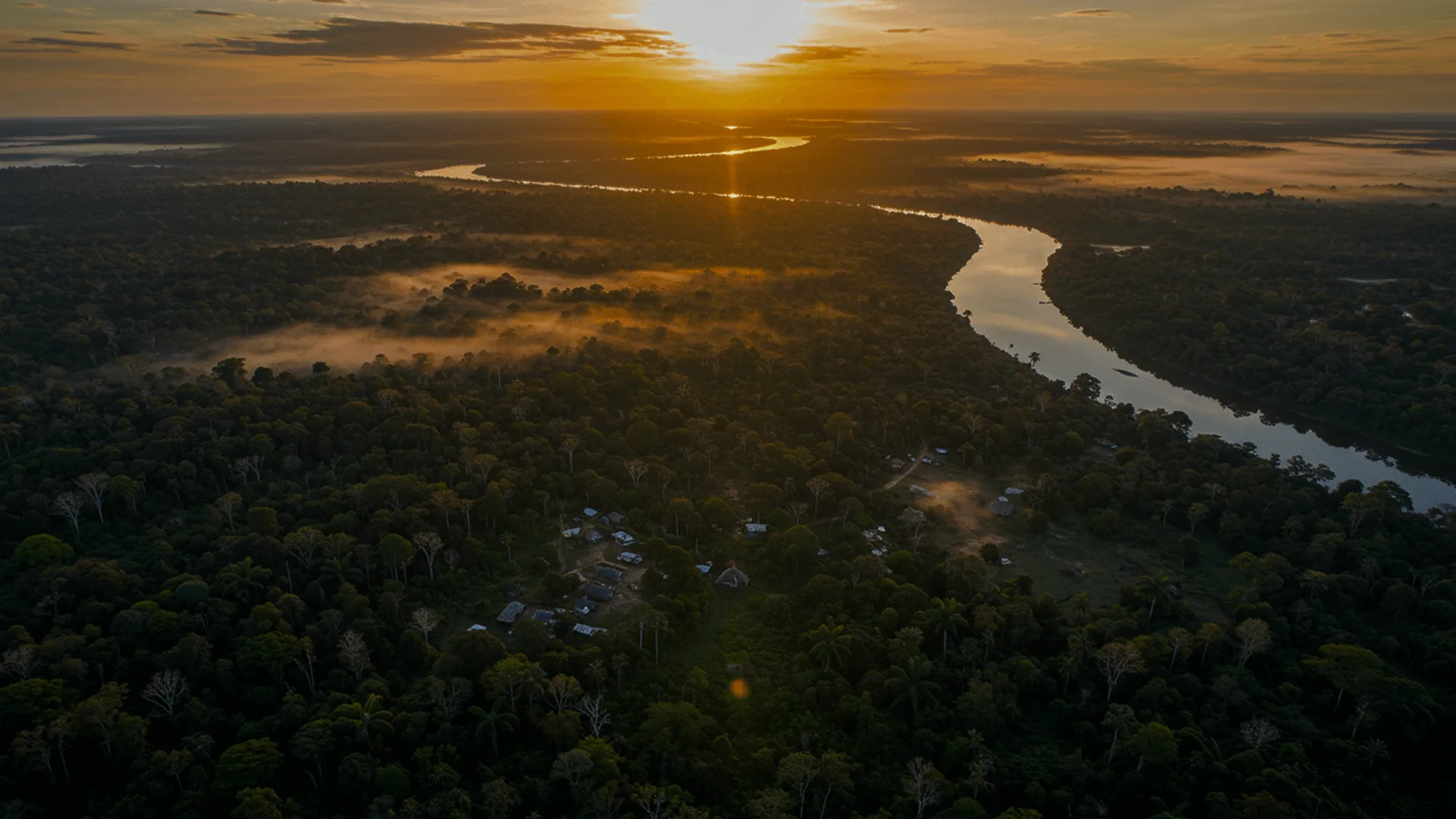 Aerial view of river flowing through preserved forest landscape